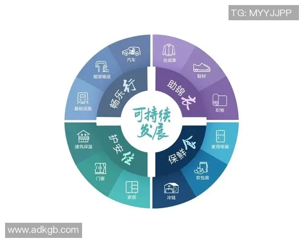 体育管理创新与发展：提升运动产业效率与可持续发展的策略分析